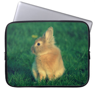 Little rabbit laptop sleeve