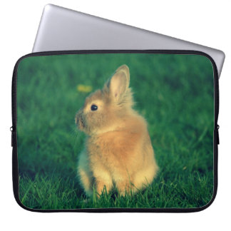 Little rabbit laptop sleeve