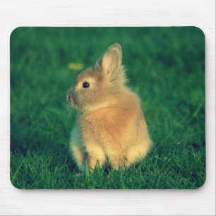 Little rabbit mouse mat