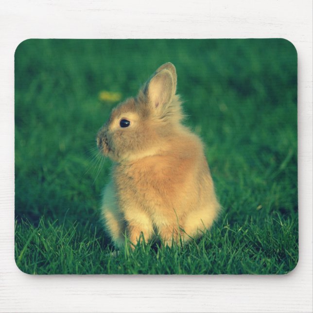 Little rabbit mouse mat (Front)