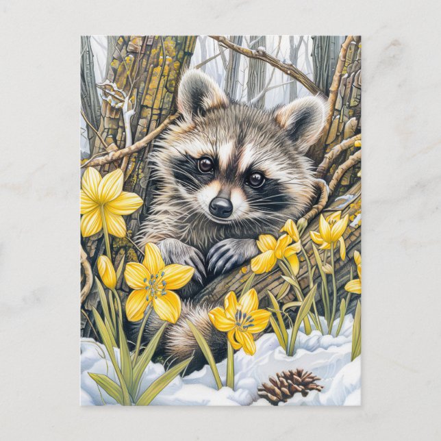 Little Racoon Among Spring Oaks Postcard (Front)
