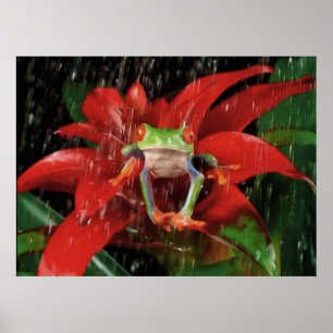 Little_Rain_(4) Poster