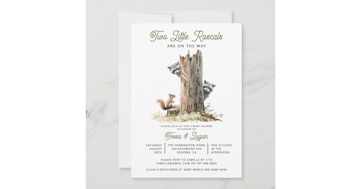 Little Rascals Raccoons Twins Baby Shower Invitation | Zazzle