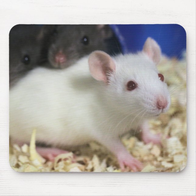 Little rat mouse mat (Front)