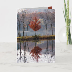 Little Red Dressed Card