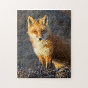 Little Red Fox Jigsaw Puzzle