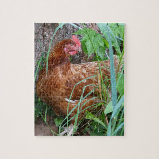 Little Red Hen in the Grass Jigsaw Puzzle