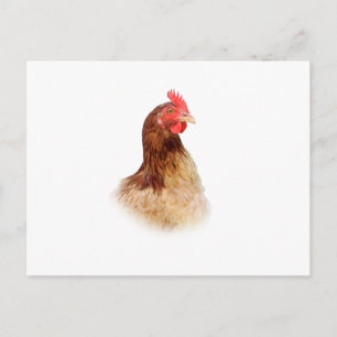 Little Red Hen Postcard