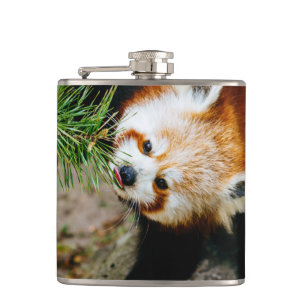 Little Red Panda With Fern - Animal Photography Hip Flask