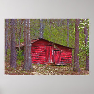 Little Red Shed In The Woods Poster