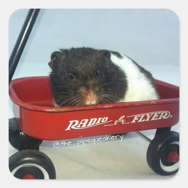 Little Red Wagon Square Sticker (Front)