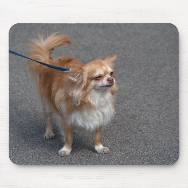 Little Redhead Mouse Mat (Front)