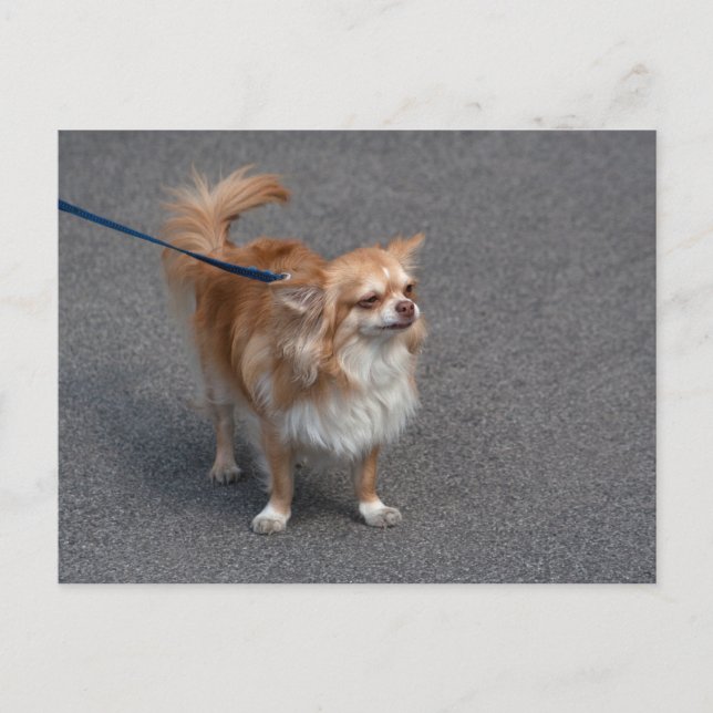 Little Redhead Postcard (Front)