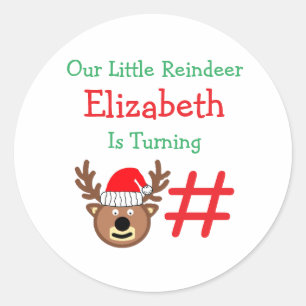 Little Reindeer Kids Birthday Classic Round Sticker