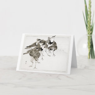 Little Ringed Plover Bird, Watanabe Seitei Card