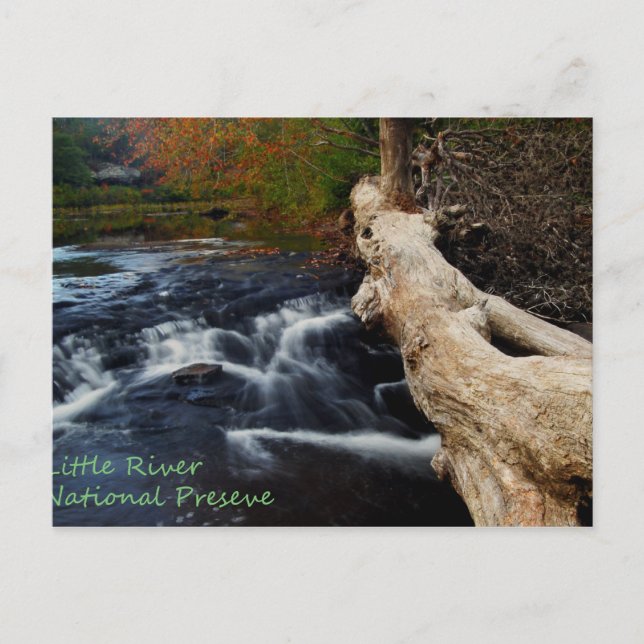 Little River Postcard (Front)