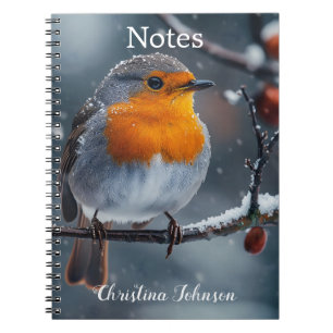 Little robin bird sitting on a branch at winter notebook