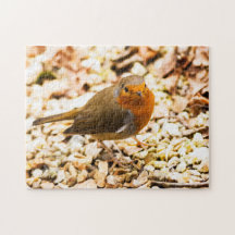 Little Robin Redbreast