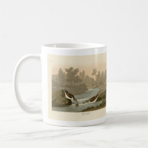 Little Sandpiper from Audubon's Birds of America Coffee Mug