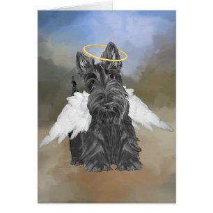 Little Scottie Angel