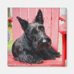Little Scottie in a Big Red Chair Magnet
