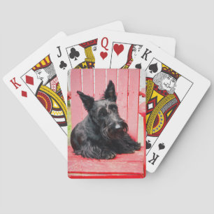 Little Scottie in a Big Red Chair Playing Cards
