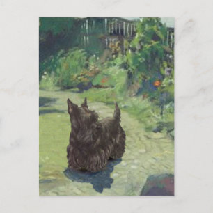 Little Scottie in the Garden Postcard