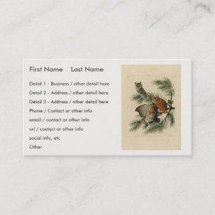 Little Screech Owl from Audubon's Birds of America Business Card