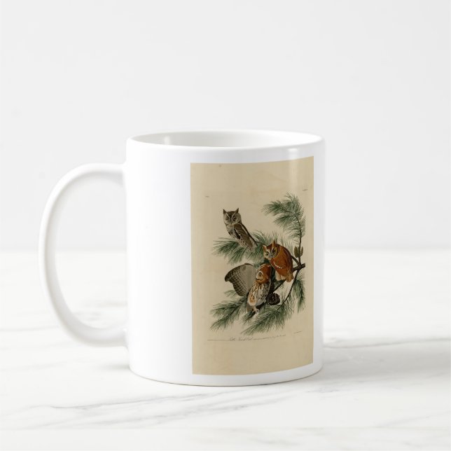 Little Screech Owl from Audubon's Birds of America Coffee Mug (Left)
