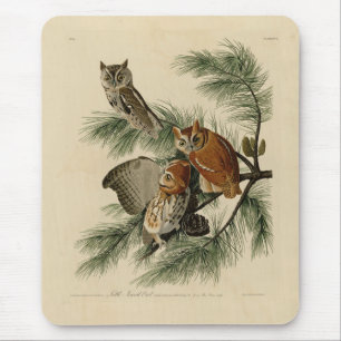 Little Screech Owl from Audubon's Birds of America Mouse Mat
