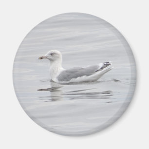 Little seagull magnet