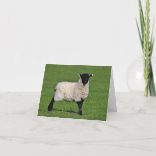 Little Sheep Custom Thank You Card