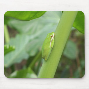 little sleepy green tree frog mouse mat