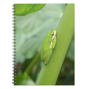 little sleepy green tree frog notebook