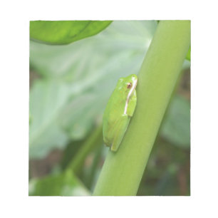 little sleepy green tree frog notepad