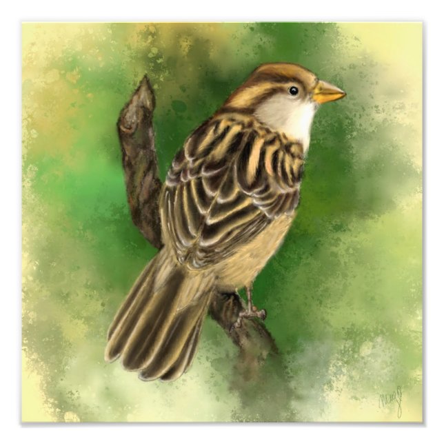 Little Sparrow Photo Print (Front)