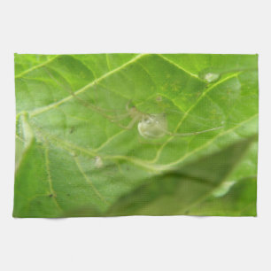 Little Spider Kitchen Towel