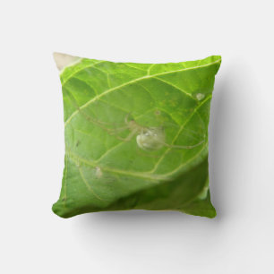 Little Spider Pillow
