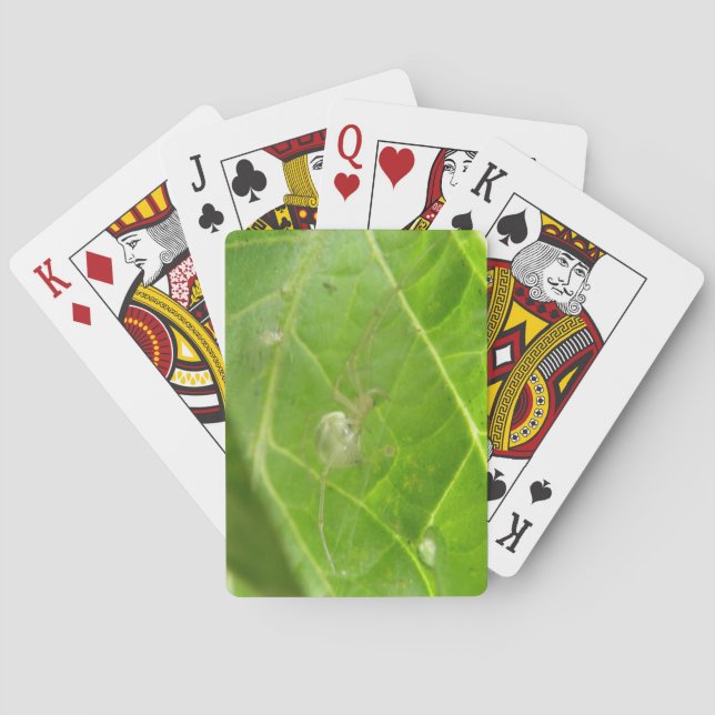 Little Spider Playing Cards (Back)