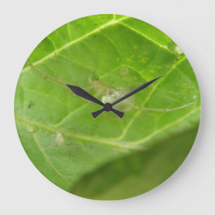 Little Spider Wall Clock