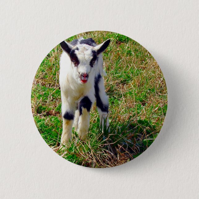Little Spot 6 Cm Round Badge (Front)
