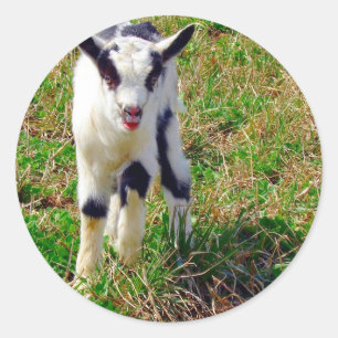 Little Spot Classic Round Sticker