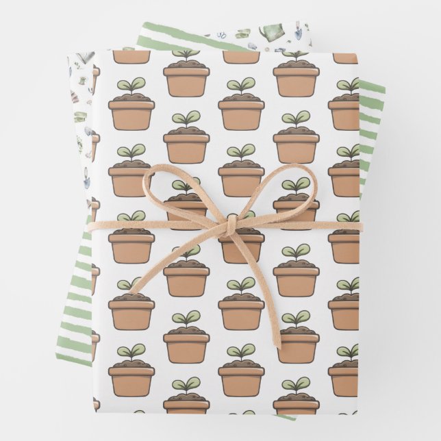 Little Sprout or Garden Wrapping Paper Sheet (In situ)