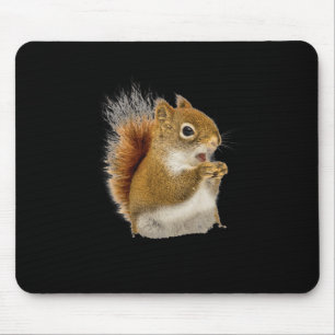 Little Squirrel Eating His Nuts Mouse Mat