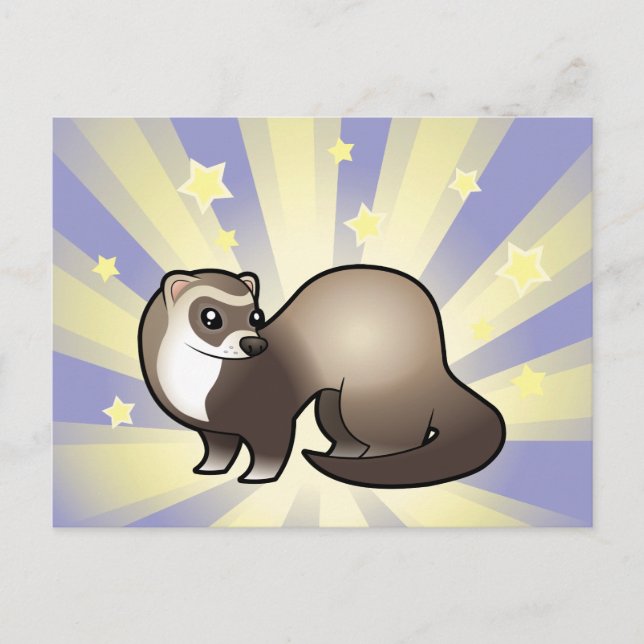 Little Star Ferret Postcard (Front)