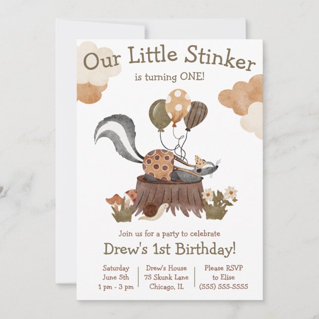 Little Stinker, Skunk, Woodland Birthday Party Invitation (Front)