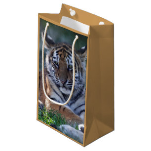 Little Stripes Gift Bag