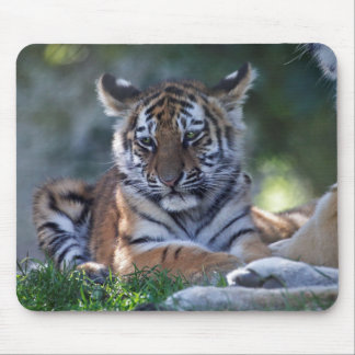 Little Stripes Mousemat