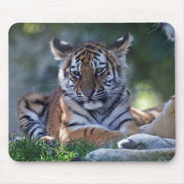 Little Stripes Mousemat (Front)