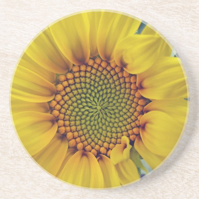Little Sunflower Coaster (Front)